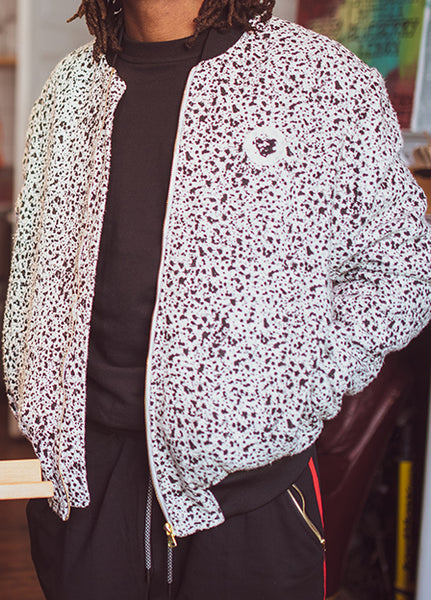 Dalmatiannofaceweb_grande.jpg?