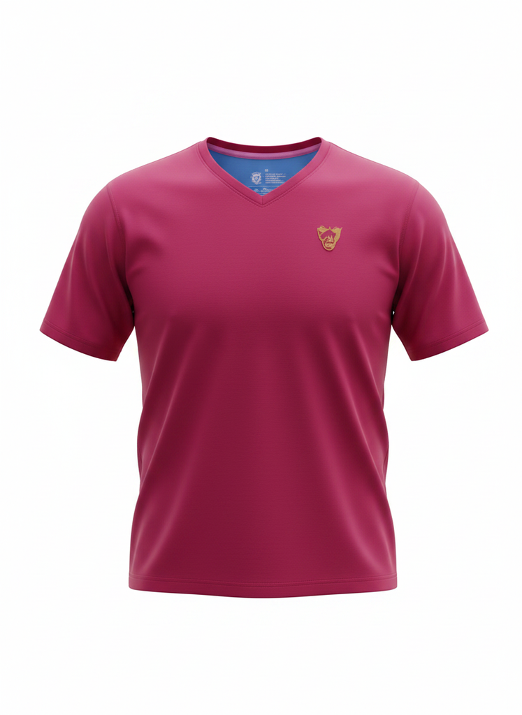 Embroidered V-Neck Leisure-T Mercerized Men's