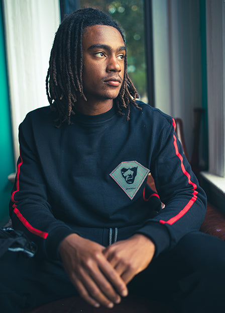 Stripe Crewneck sweatsuit (entire set)