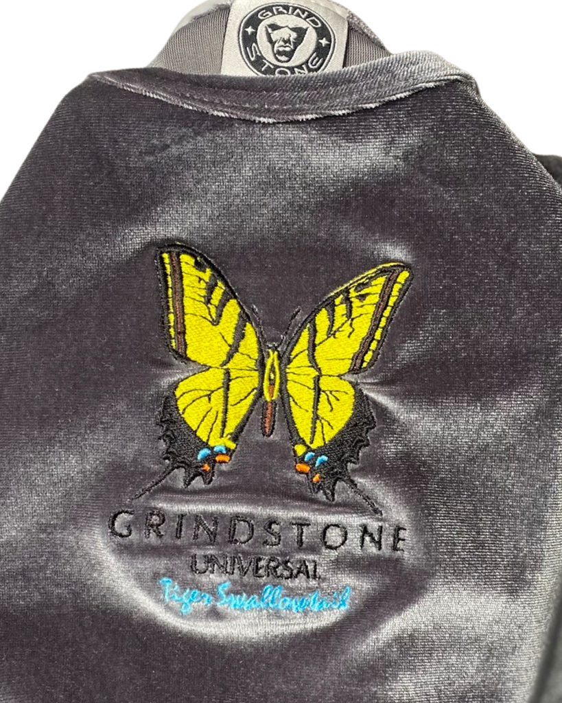 Velvet Butterfly Women's Short set