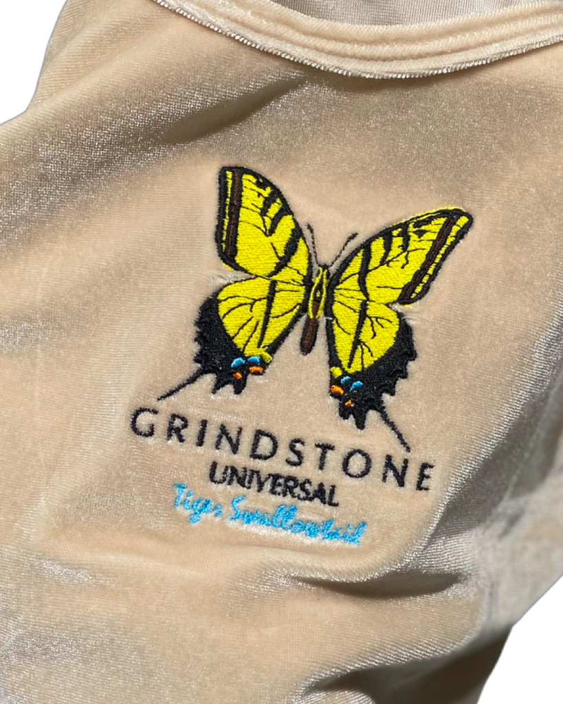 Velvet Butterfly Women's Short set